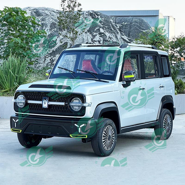 ChangLi Hot Sale Made in China Rwd Mini Car Super Electric Ride Cars