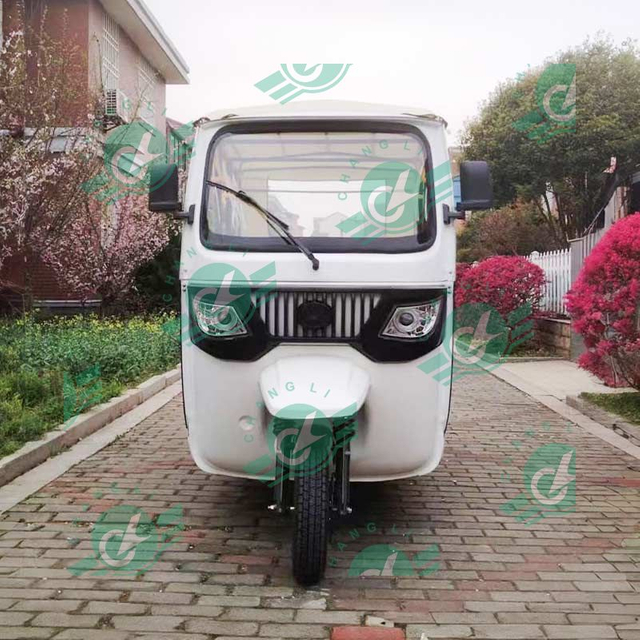 Changli Hot-selling EEC Sightseeing Tour Reception Tuktuk OEM 6 People
