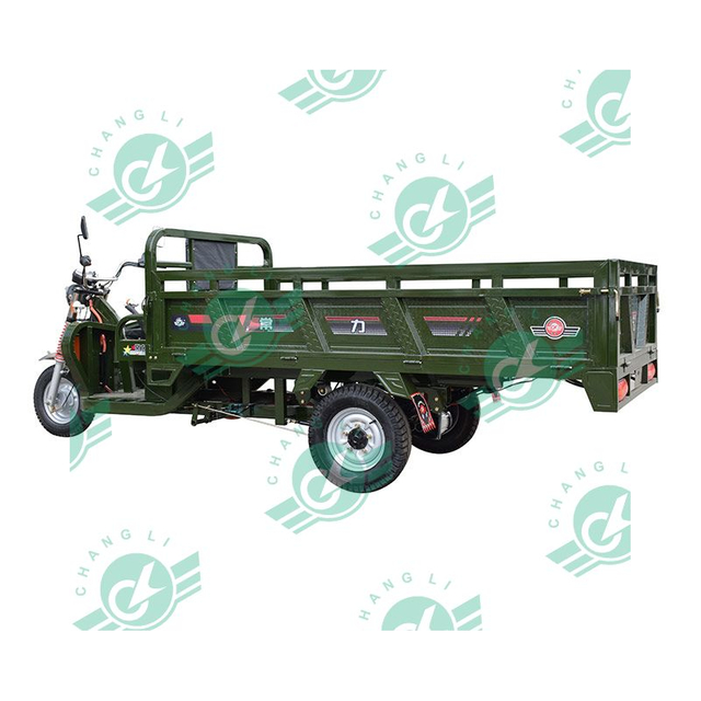 Chang Li Trike Electric 60V Electric Transporter for Cargo Adults Customized 3 Wheels Electric Scooter