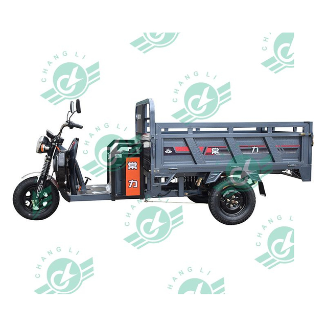 Chang Li 1000W Motor Electric Tricycles Most Three Wheel Electric Tricycle Sold for Cargo