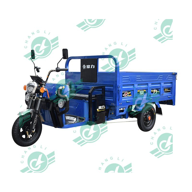 Chang Li New Hot Selling High End 1500W Motor 600KG Loading Capacity Electric Tricycle Electric Tricycle