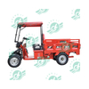 Chang Li Car New Type Electric Cargo Tricycle 60V1000W Disc/drum Brakes 4 Wheel Electric Tricycles Popular in Turkey