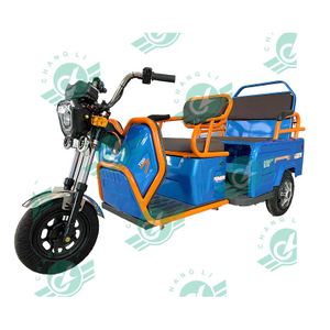 Chang Li 3 Wheel 2 Passengers Use Taxi Style Tricycle Electric Taxi Bike