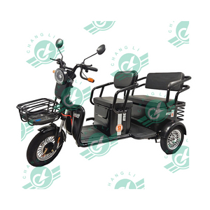 Chang Li Seat Folding Leisure Electric Cargo Tricycle for 2 Adults