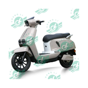Changli Brand High-Speed Electric Motorcycle Double Rear Shock Absorbers Motorbike Electric 2 Wheel