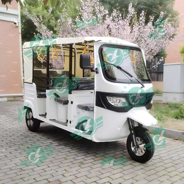 Changli Hot-selling EEC Sightseeing Tour Reception Tuktuk OEM 6 People