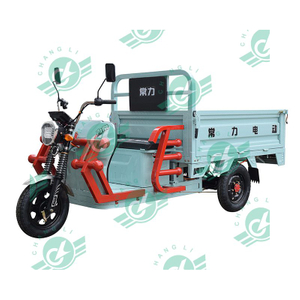 Chang li High Speed China e-Trikes 3wheel Adult Electric Cargo Tricycle Motorcycle