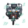Chang Li Hot Selling Three Wheels Electric Bike Adult Electric Tricycle Cargo with 1 Seats for Sale