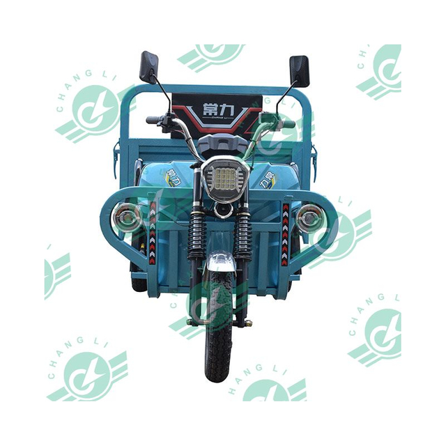 CHANG LI New Product 1000W Delivery Electric Cargo Tricycle Three Wheel Electric Tricycle Cargo Truck Motorcycle 3 Wheel
