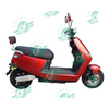 Professional Team Design Digital Speedometer Electric Adult Scooter Street Legal E-Bike