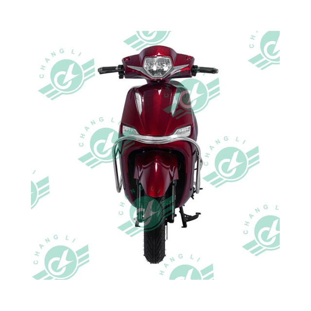 Changli Electric Motorcycle Bicycle for Adults 12 Inch 45km/h 1500W Motor Popular India Market Lithium Battery Brushless