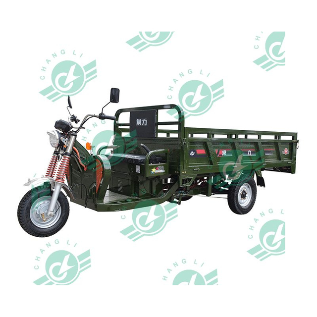 Chang Li Trike Electric 60V Electric Transporter for Cargo Adults Customized 3 Wheels Electric Scooter