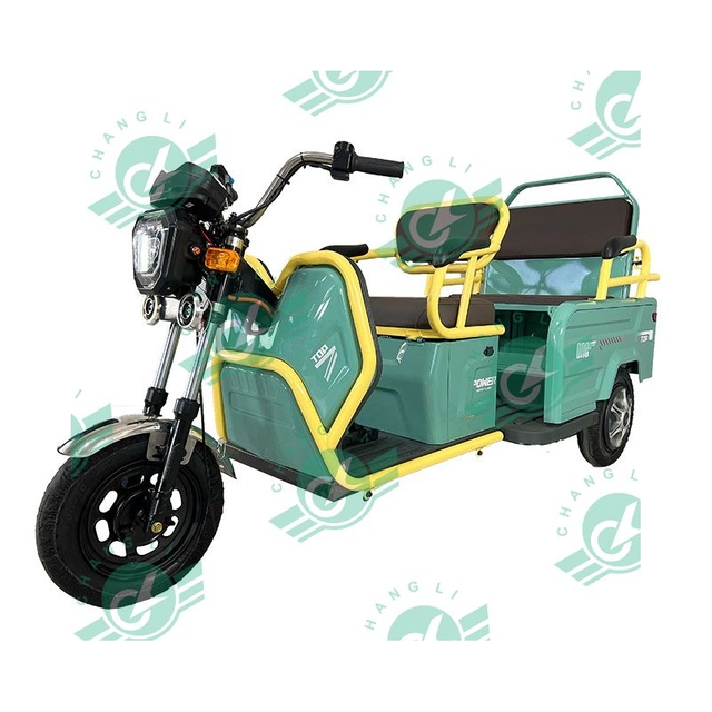 Chang Li 3 Wheel 2 Passengers Use Taxi Style Tricycle Electric Taxi Bike