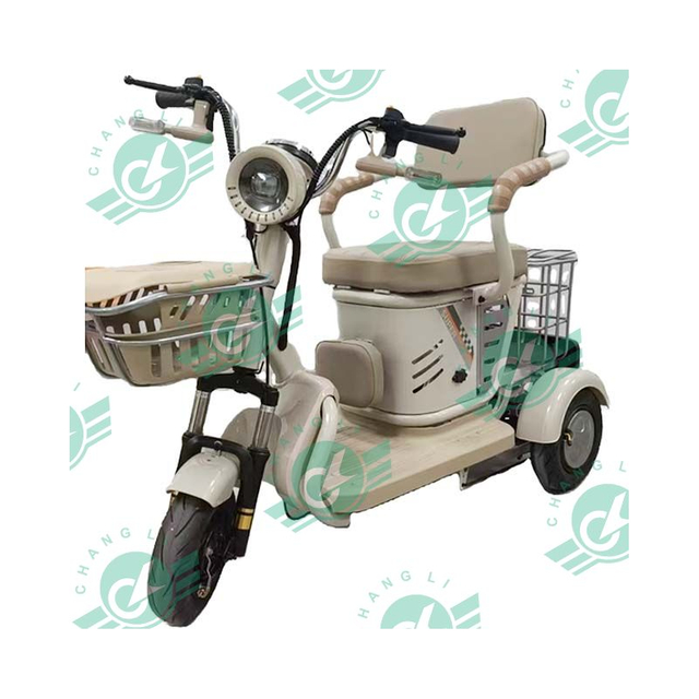 New Model Electric Pedicab Triciclo Leisure Life for Elderly