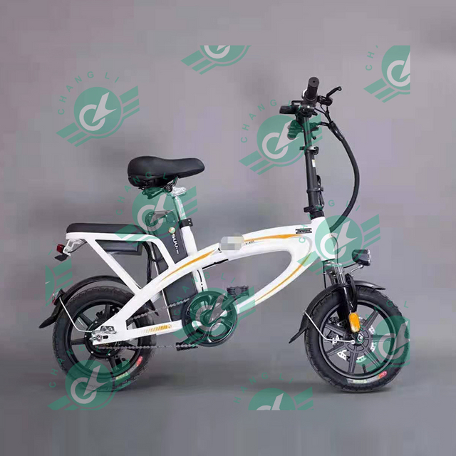 New Design 350W Electric Folding Bike Electric Bicycle Folded