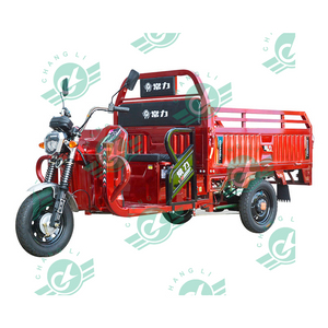 Chang Li 3 Wheel OEM Tricycle Assistant Large Carrying Freight Family Electric Cargo Bike
