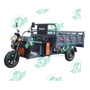 Chang Li 1000W Motor Electric Tricycles Most Three Wheel Electric Tricycle Sold for Cargo