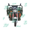 Chang Li Trike Electric 60V Electric Transporter for Cargo Adults Customized 3 Wheels Electric Scooter