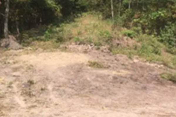 Rough-mountain-road