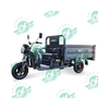 CHANG LI New Product 1000W Delivery Electric Cargo Tricycle Three Wheel Electric Tricycle Cargo Truck Motorcycle 3 Wheel