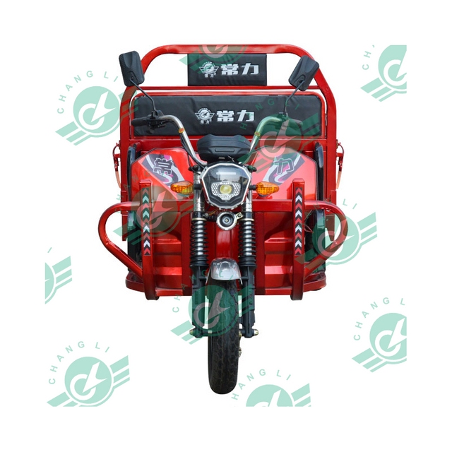 Chang Li 3 Wheel OEM Tricycle Assistant Large Carrying Freight Family Electric Cargo Bike