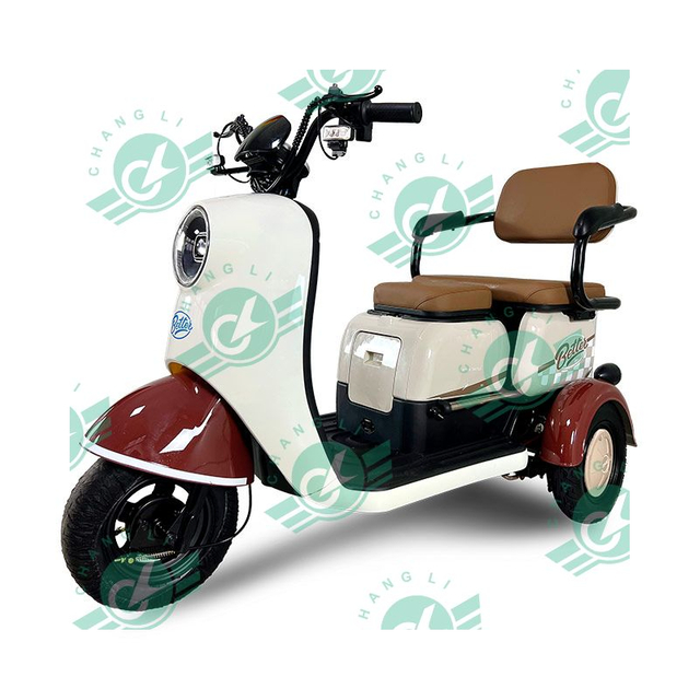 800W Electric Tricycle Bike Cheap Electric Tricycle For Adults