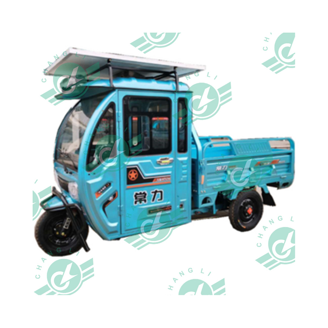 Tricycle with Carriage for 2 Adults Farm Use Cargo Motorcycle with Front Cab Cargo Electric Scooter