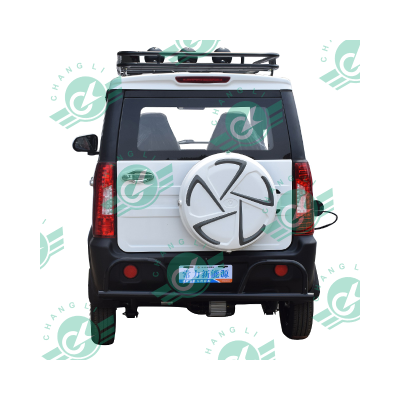 chang li electric car amazon