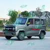 ChangLi Hot Sale Made in China Rwd Mini Car Super Electric Ride Cars