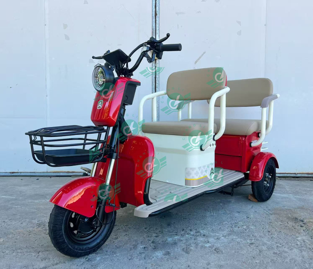 Smart Leisure Tricycle for Recreation And Elderly Use