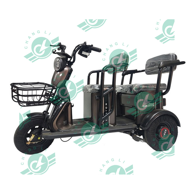 New Large Passenger And Freight Electric Tricycle Elderly Leisure Car Adult