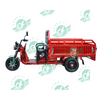 Chang Li 3 Wheel OEM Tricycle Assistant Large Carrying Freight Family Electric Cargo Bike