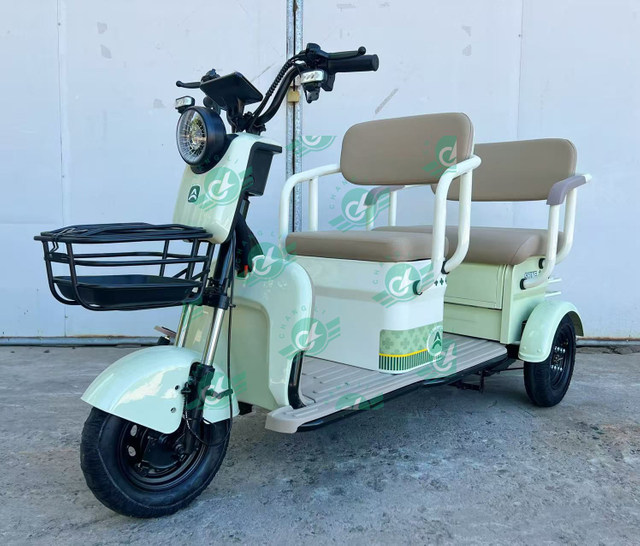 Smart Leisure Tricycle for Recreation And Elderly Use
