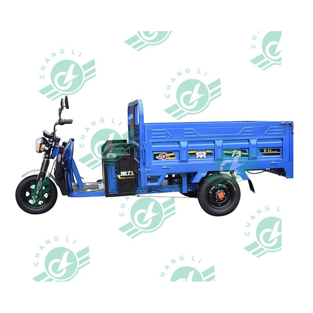 Chang Li New Hot Selling High End 1500W Motor 600KG Loading Capacity Electric Tricycle Electric Tricycle