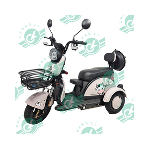China Factory Manufacturer Offer 2 And 3 Wheel Electric Bike Bicycle To The Biggest Distributor Wholesaler All over The World