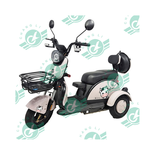 China Factory Manufacturer Offer 2 And 3 Wheel Electric Bike Bicycle To The Biggest Distributor Wholesaler All over The World