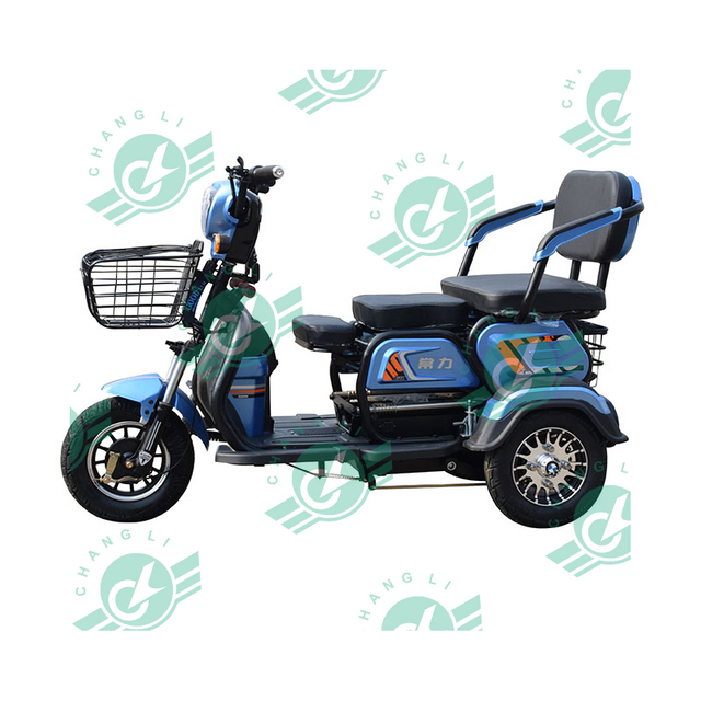 2023 Chinese Good Sale Modern Design Three Wheeler 2 Passenger 3 Wheel Electric Tricycle for Elder