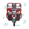 Chang Li 1000W Motor Electric Tricycle Agricultural Tricycle Bike Cargo Scooter 3 Wheel Adult Tricycles