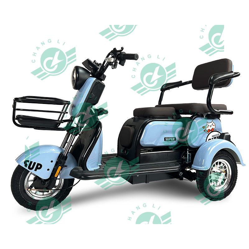 800w Scooters Electric Adults 3 Wheel Electric Tricycles Adult