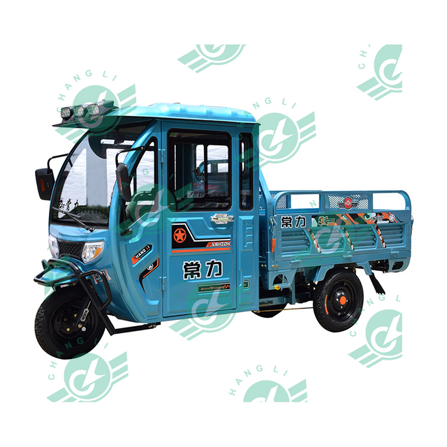 Tricycle with Carriage for 2 Adults Farm Use Cargo Motorcycle with Front Cab Cargo Electric Scooter