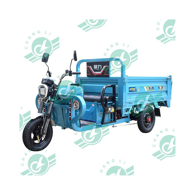 CHANG LI New Product 1000W Delivery Electric Cargo Tricycle Three Wheel Electric Tricycle Cargo Truck Motorcycle 3 Wheel