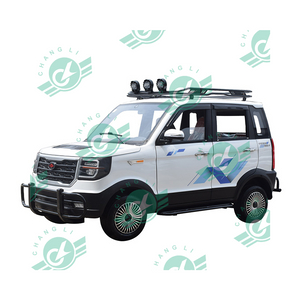 Chang Li Mini Electric Car Adult Mini Electric Vehicle with Low Speed for Elderly Electric Car