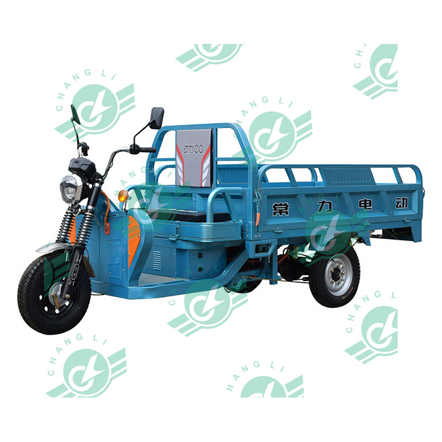 China Chang Li Motor Family Rickshaw 3 Wheel Cargo Trike Electric Tricycle Carrying Cargo Electric Truck