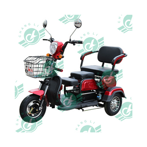 2023 Chinese Good Sale Modern Design Three Wheeler 2 Passenger 3 Wheel Electric Tricycle for Elder