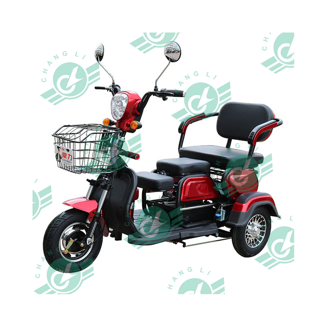 2023 Chinese Good Sale Modern Design Three Wheeler 2 Passenger 3 Wheel Electric Tricycle for Elder