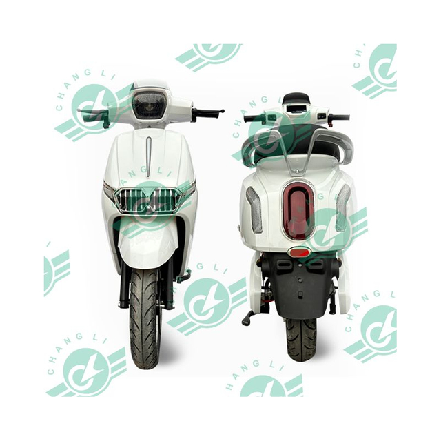 Changli Brand High-Speed Electric Motorcycle Double Rear Shock Absorbers Motorbike Electric 2 Wheel