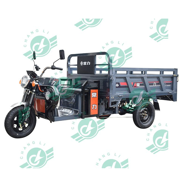 Chang Li Hot Selling Three Wheels Electric Bike Adult Electric Tricycle Cargo with 1 Seats for Sale
