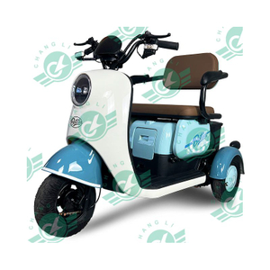 800W Electric Tricycle Bike Cheap Electric Tricycle For Adults