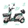 China Factory Manufacturer Offer 2 And 3 Wheel Electric Bike Bicycle To The Biggest Distributor Wholesaler All over The World
