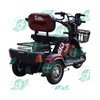 2023 Chinese Good Sale Modern Design Three Wheeler 2 Passenger 3 Wheel Electric Tricycle for Elder